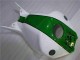 Verde Blanco Carenado Honda CBR 1000 RR 04-05