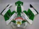 Verde Blanco Carenado Honda CBR 1000 RR 04-05